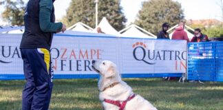 BolognaFiere: edizione 2021 di Quattrozampeinfiera