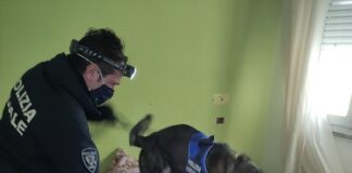 Bivaccavano nell’hotel stagionale chiuso: denunciate quattro persone