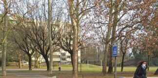 Sicurezza stradale e ambiente: in via Gramsci spuntano le margherite
