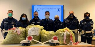La Polizia municipale di Misano scopre serra con coltivazione di marijuana