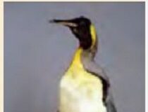 “A qualcuno non piace caldo” seconda conferenza online del ciclo annuale ‘Darwin Day Ferrara’