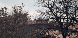 Oltretorrente e centro storico: controlli della Polizia Locale nella giornata di sabato 20 febbraio