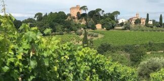 I genitori del Centesimino svelati grazie a nuova mappatura genetica