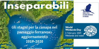 Videoconferenza su “Gli stagni per la canapa nel paesaggio ferrarese: aggiornamento 2019-2020”