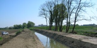 Consorzio di bonifica della Romagna Occidentale: Giornata mondiale dell’Acqua