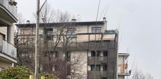 Baia del Re; piantumati 37 tigli in via Macellari