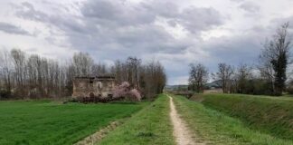 Difesa del suolo. A Forlì completata la manutenzione degli argini dei fiumi Ronco e Rabbi.