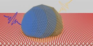 Luce e nanoparticelle per una catalisi ‘verde’