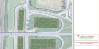 Ferrara arricchisce la propria flora urbana: in arrivo oltre 1.200 nuove piante in diverse zone della città