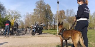 Controlli in zona Gramsci e parco XXII aprile