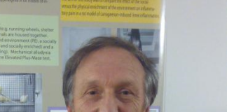 Stefano Parmigiani nominato Professore Emerito