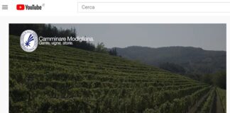 “Camminare Modigliana. Gente, vigne, storie”