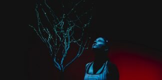 Earthbound di Marta Cuscunà dal 25 al 30 maggio 2021 al Teatro Storchi di Modena