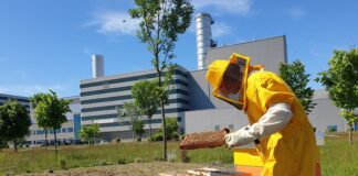 Iren: Progetto Apicoltura urbana