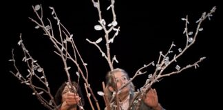 “Jack e il fagiolo magico” il 16 maggio al Teatro Diego Fabbri di Forlì