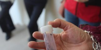 Al parco della Polizia Locale di Cesena un bombardamento di coccinelle contro gli afidi (FOTO)