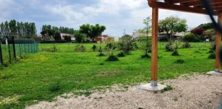 Cattolica, l’erba è ricresciuta: riapre lo sgambatoio