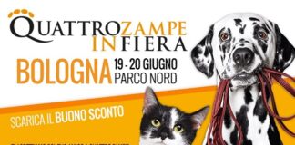 A Bologna il 19 e 20 giugno Quattrozampeinfiera divertimento per cani e proprietari, all’aperto e in totale sicurezza: