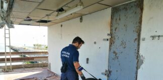 Polizia Locale e Anthea insieme per sistemare i capanni della pesca alla foce del fiume Marecchia