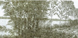 “L’orizzonte visibile-Artisti a confronto” prosegue la mostra estiva del MAF