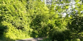 Carpineti, nuovi lavori sulla Sp 76 per il Castello