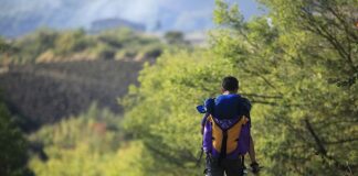 Per una Via Francigena salsese sulla scia dell’acqua e del sale