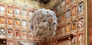 Finissage de La Commedia Umana il 14 ottobre nella Sala Farnese Palazzo d’Accursio Bologna
