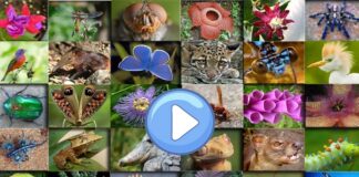 Concorso “Acqua & Territorio” per le scuole