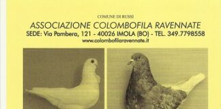 47esima Mostra Colombofila