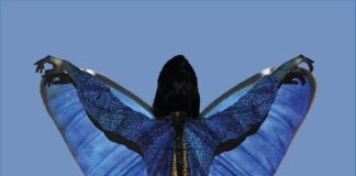 Cosa cambia mercoledì 3 novembre al Reggio Film Festival