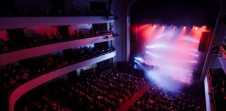 Black Friday al Teatro Duse , spettacoli al – 30%