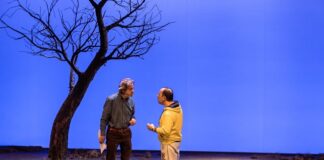Racconti della foresta di Arden dal 30 novembre al 12 dicembre al teatro Arena del Sole di Bologna