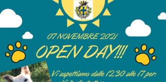 Domenica 7 Novembre Open Day al polo animali d’affezione “Lilly e il Vagabondo”
