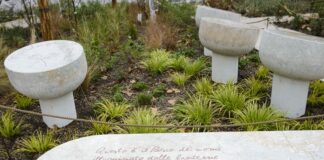 Domenica 12 dicembre aprono il bosco dei nomi e il Palazzo del Fulgor