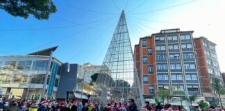 Cattolica, “giovani voci” attorno all’albero di Piazza Nettuno