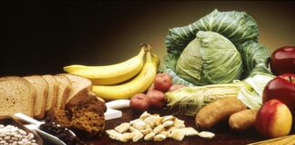 Il 3 dicembre il convegno “La valorizzazione della filiera BIO: il ruolo del territorio”