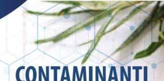 Il 14 dicembre seminario sui contaminanti da oli
