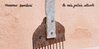 Il 21 gennaio esce La mia Patria attuale nuovo album di Massimo Zamboni
