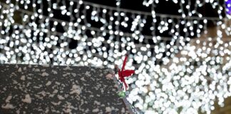 NexTime Eventi: consuntivo eventi Natale Riccione