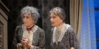 ‘Arsenico e vecchi merletti’ dal 21 al 23 gennaio al Teatro Duse di Bologna