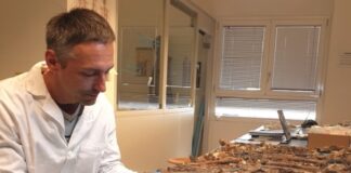 Museo civico, “Osso per osso, dente per dente” con Benazzi