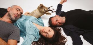 Ripresa delle attività al Teatro Testori