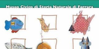 Al via le nuove attività didattiche in museo per le scuole del territorio