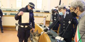 Nuovo ritrovamento di sostanze stupefacenti al Baluardo di San Pietro grazie ad Aaron