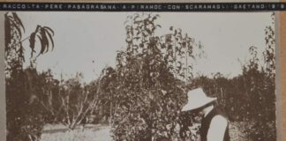 “Un paese dagli album di famiglia”: prorogata apertura della mostra