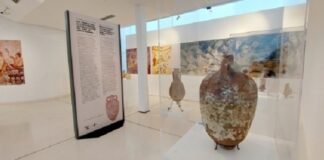 Al MIC arrivano i “Talk Gioia di Ber”