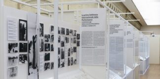 MAMbo: interventi realizzati grazie al sostegno del Trust per l’Arte Contemporanea |