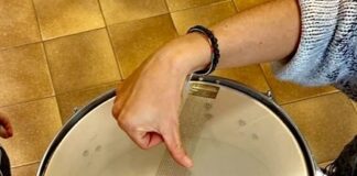 La sperimentazione musicale della Scuola dell’infanzia Quadrifoglio diventa realtà