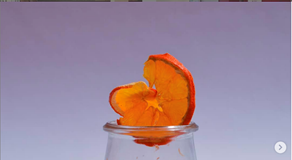 Design sostenibile per il sistema alimentare: bando di ammissione 2022-23