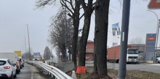Nuovi guard rail in strada Anselma